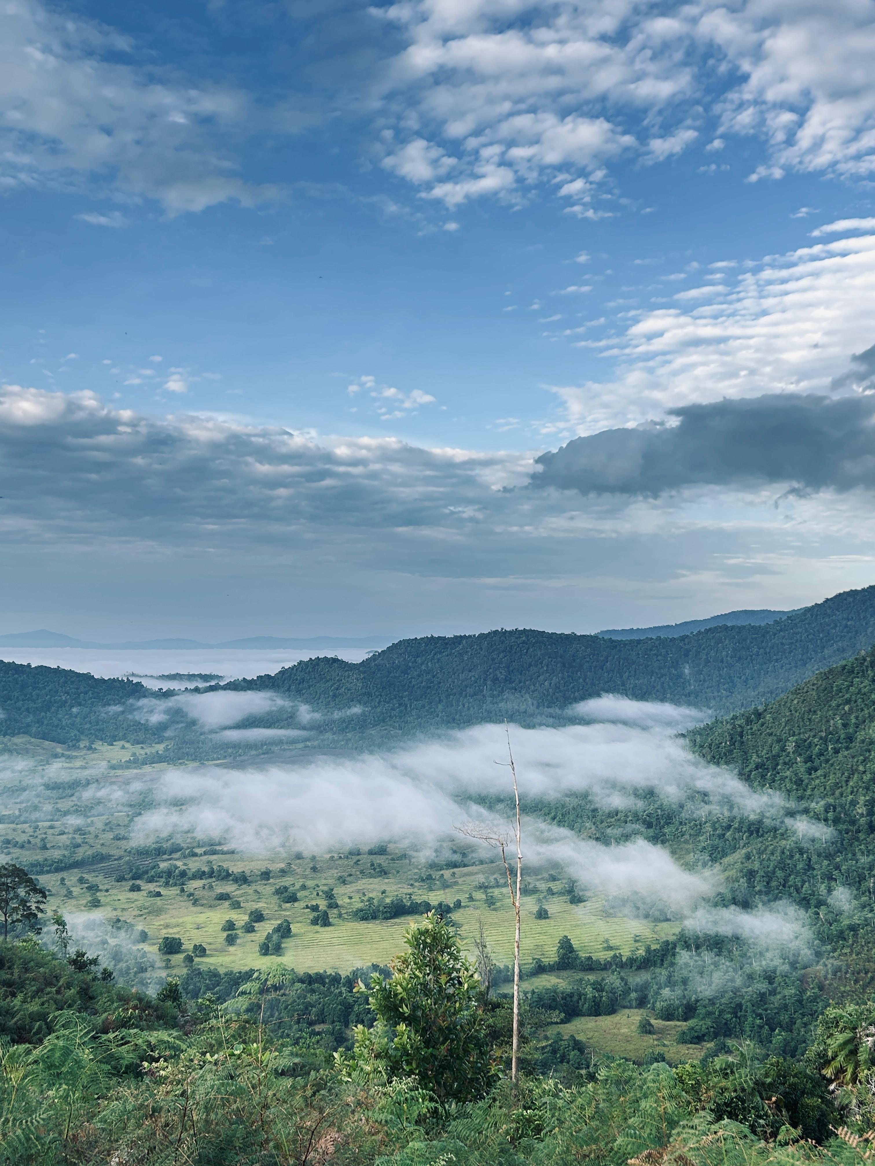 Galeri Puncak Ahuawali