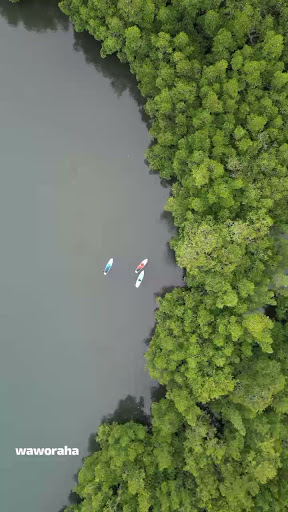 Anggalo Beach Waworaha